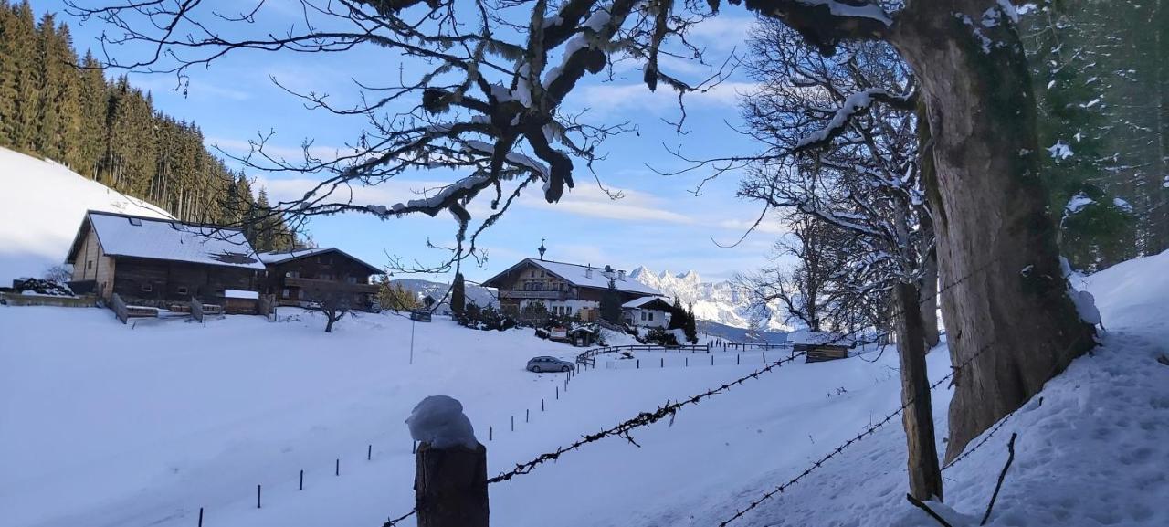 Michis Aparthotel Flachau Kültér fotó