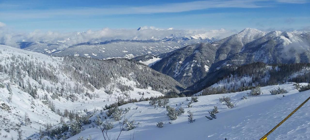 Michis Aparthotel Flachau Kültér fotó